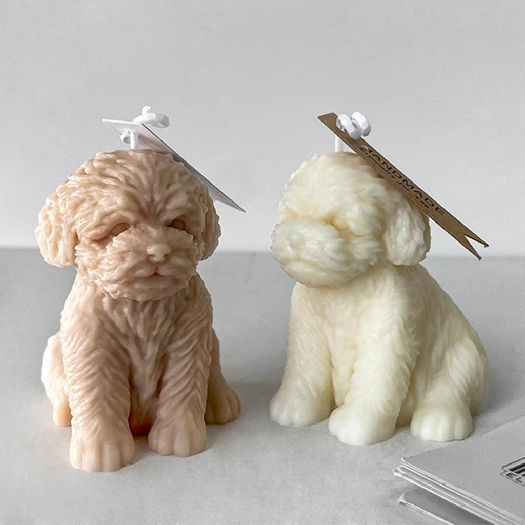 Mascotas